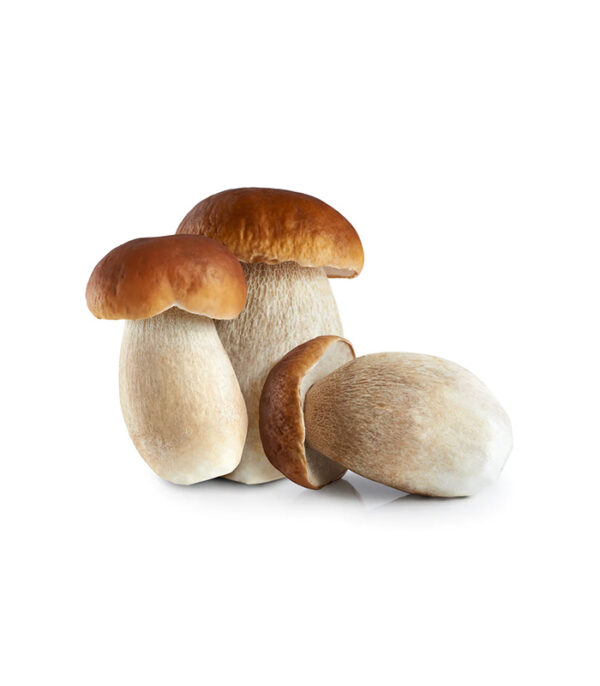 মাশরুম
